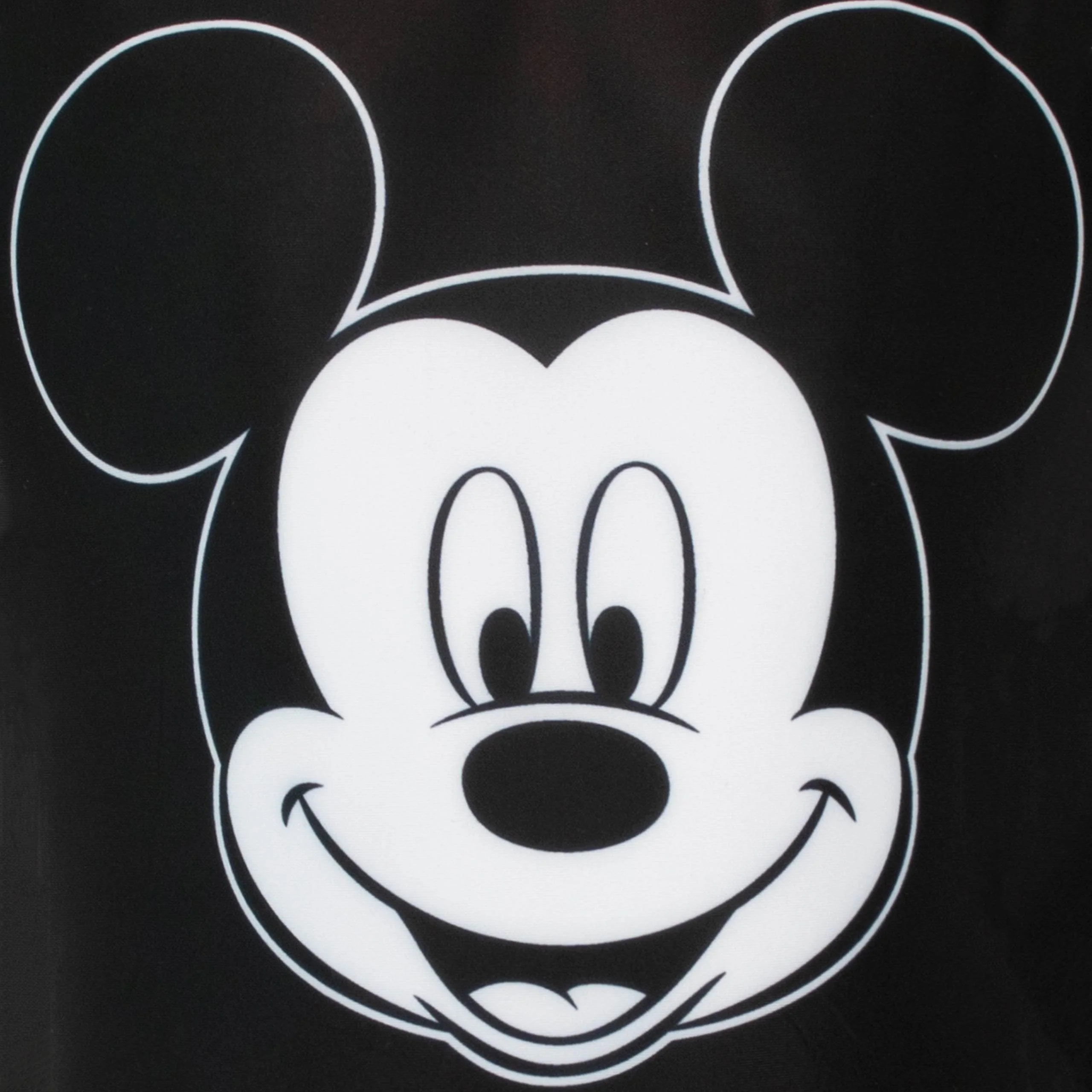 Mickey Mouse Surfsuit - Image 4
